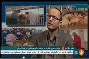 رییس سازمان دامپزشکی کشور در آستانه فرارسیدن عید سعید قربان، جزییات طرح نظارت بر عرضه بهداشتی دام در این روز را اعلام کرد